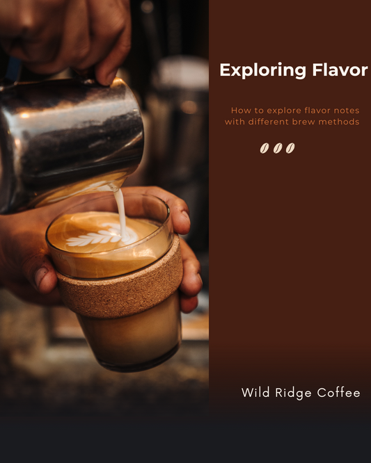 How Your Brewing Method Changes Coffee Flavor: Notes You Never Knew Were There