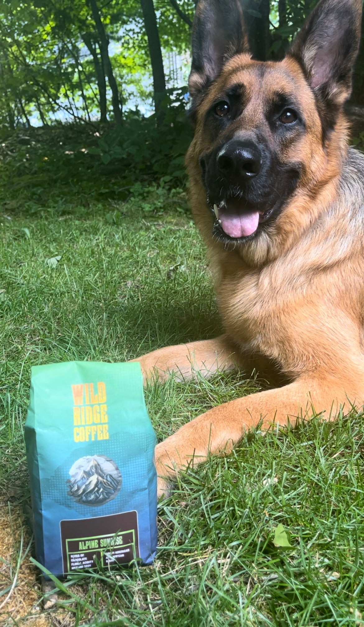 Why Wild Ridge? – Wild Ridge Coffee