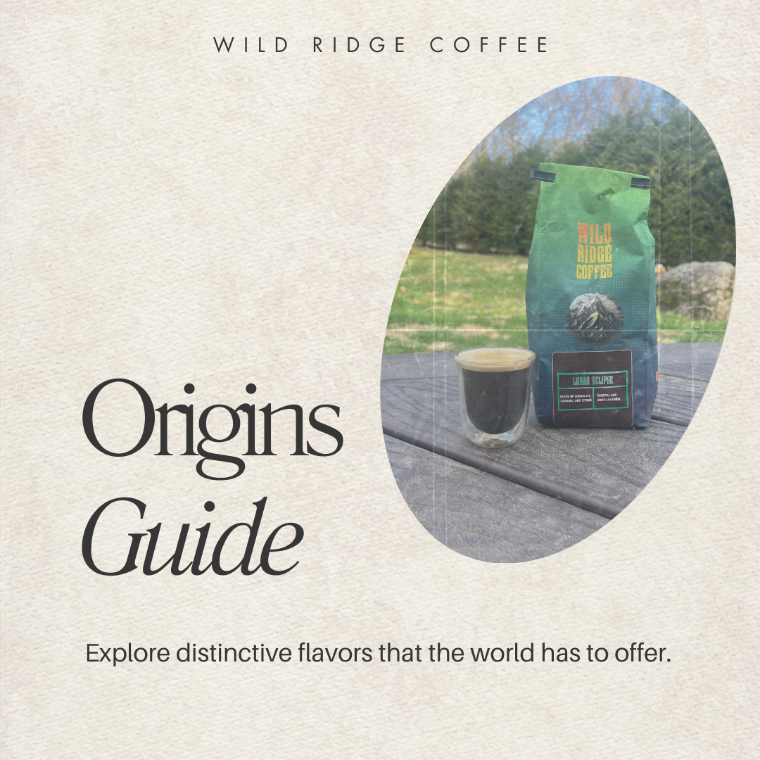 Coffee Origin Guide: Exploring the Distinctive Flavors of Different Or ...