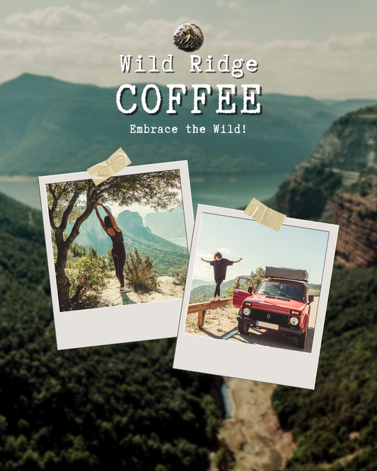 Flyer with Wild Ridge Coffee Logo and Mountains